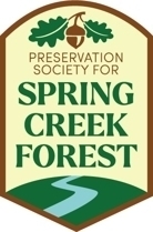 Spring_Creek__Forest.jpg